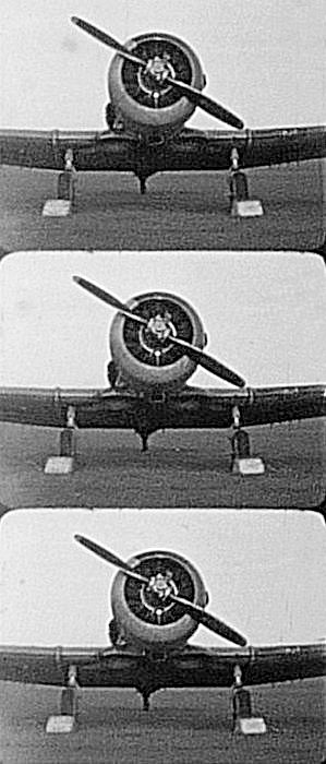 Naam: Harvard op zijn poten.JPG
Bekeken: 1025
Grootte: 68,1 KB