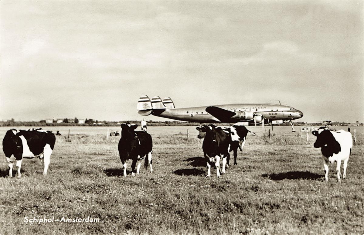 Naam: Kaart 517. PH-TFE (PH-LDE) %22Utrecht%22. Lockheed Constellation L-749 en koeien, kopie. 300.jpg
Bekeken: 1290
Grootte: 145,3 KB