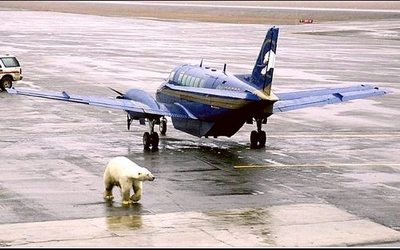 Naam: d2   Barrow, Alaska.jpg
Bekeken: 495
Grootte: 27,6 KB