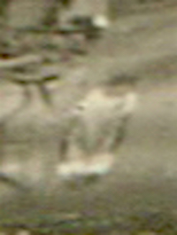 Naam: Foto 99. UITSNEDE. Onderhoudscrew  bij Thunderstreak, orig kopie.jpg
Bekeken: 1053
Grootte: 35,0 KB
