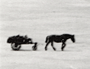 Naam: Foto 149a. Schiphol, o.a. PH-AEG en PH-AGA. Uitsnede paard en wagen.jpg
Bekeken: 1235
Grootte: 53,6 KB