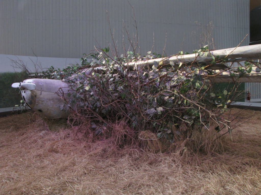 Naam: Cessna - Campinas..jpg
Bekeken: 601
Grootte: 127,3 KB