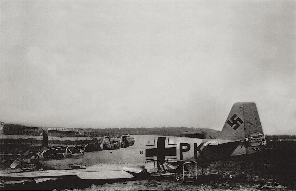 Naam: Foto 359. Beute Mustang, kopie.jpg
Bekeken: 985
Grootte: 88,4 KB
