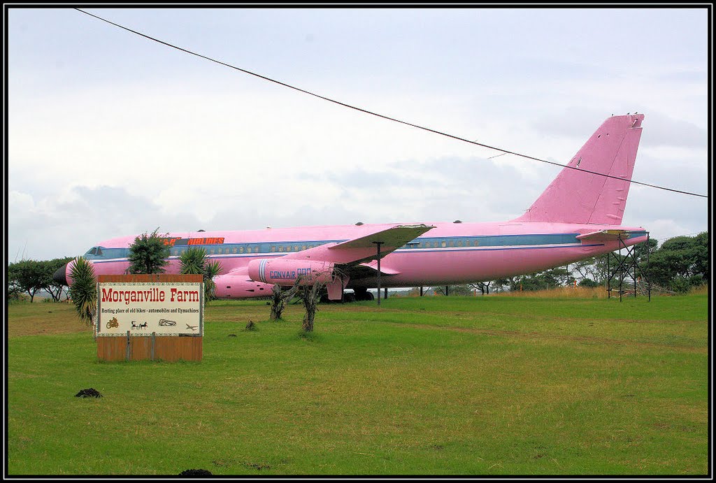Naam: Convair 880 - Morganville farm, South Africa.jpg
Bekeken: 637
Grootte: 123,3 KB