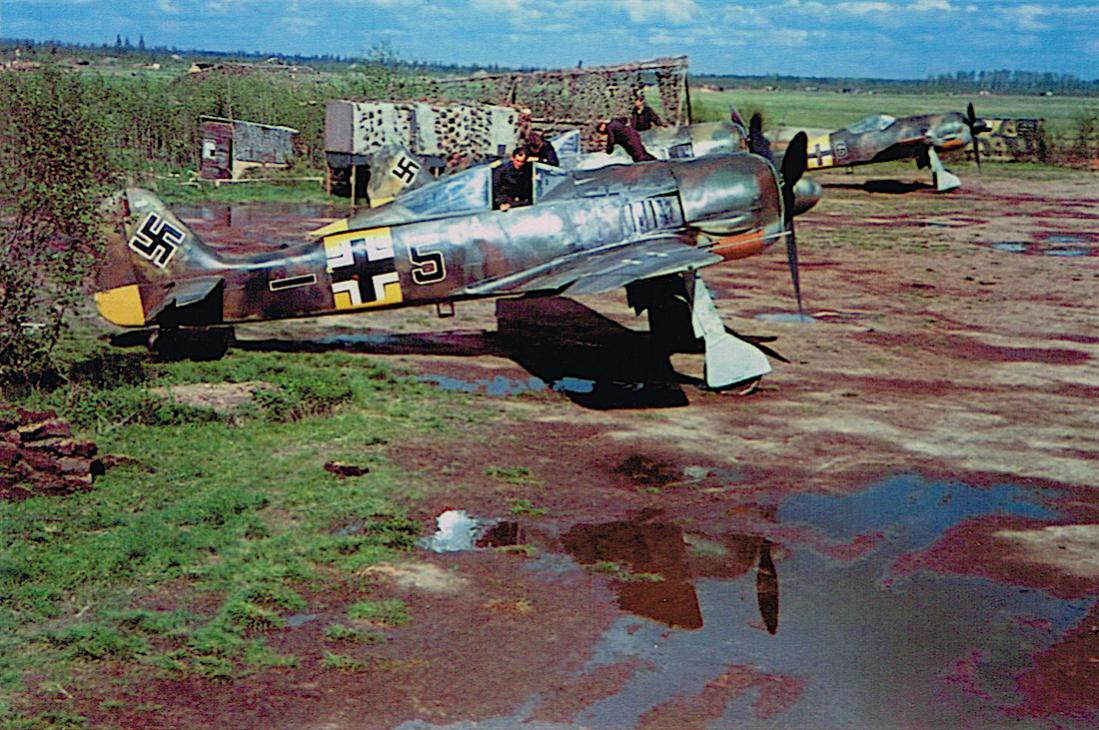 Naam: Foto 483. Focke-Wulf Fw 190 in kleur, kopie 1100.jpg
Bekeken: 1188
Grootte: 165,2 KB