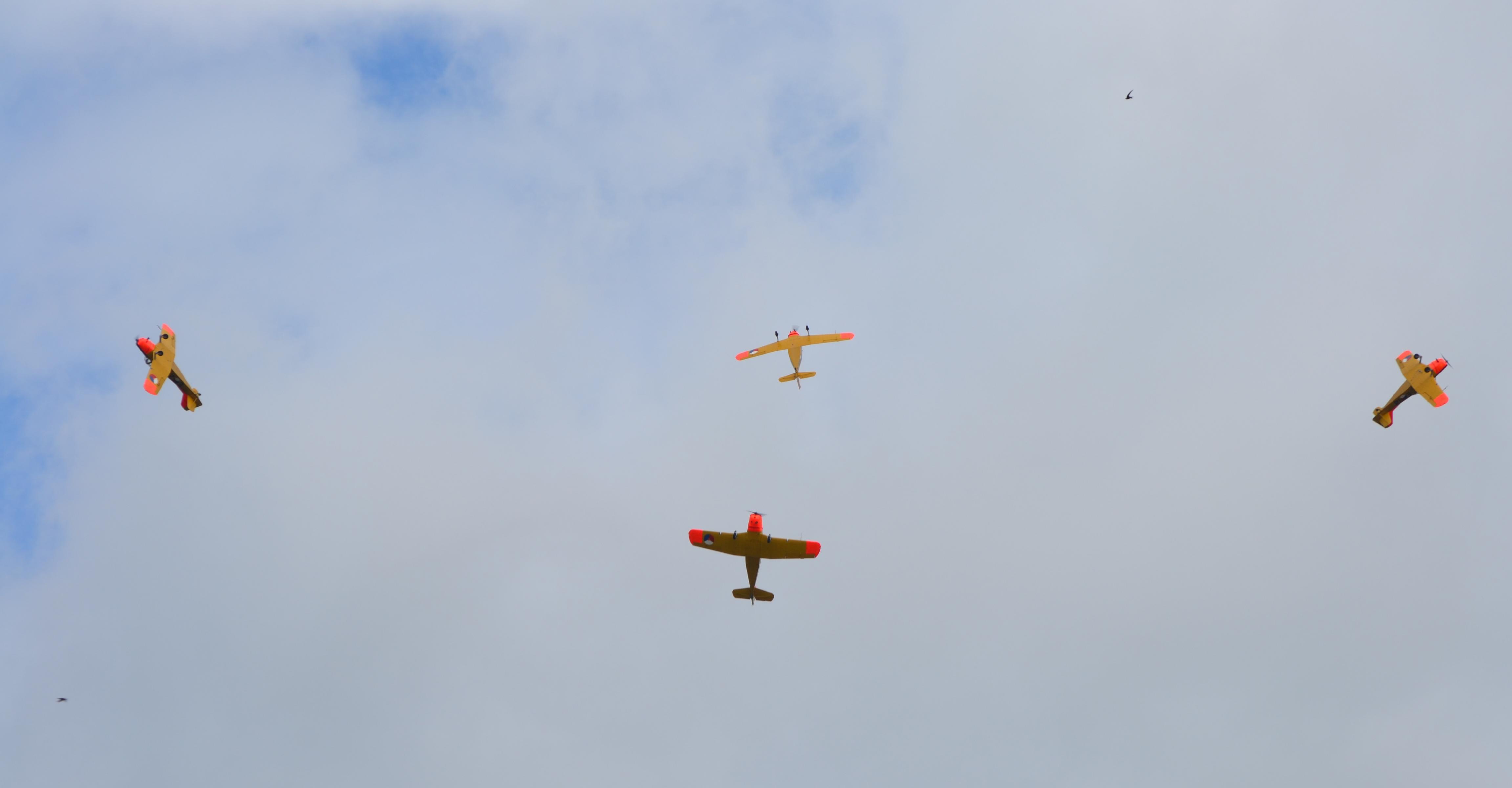 Naam: 2013 Volkel 0055.jpg
Bekeken: 413
Grootte: 210,1 KB