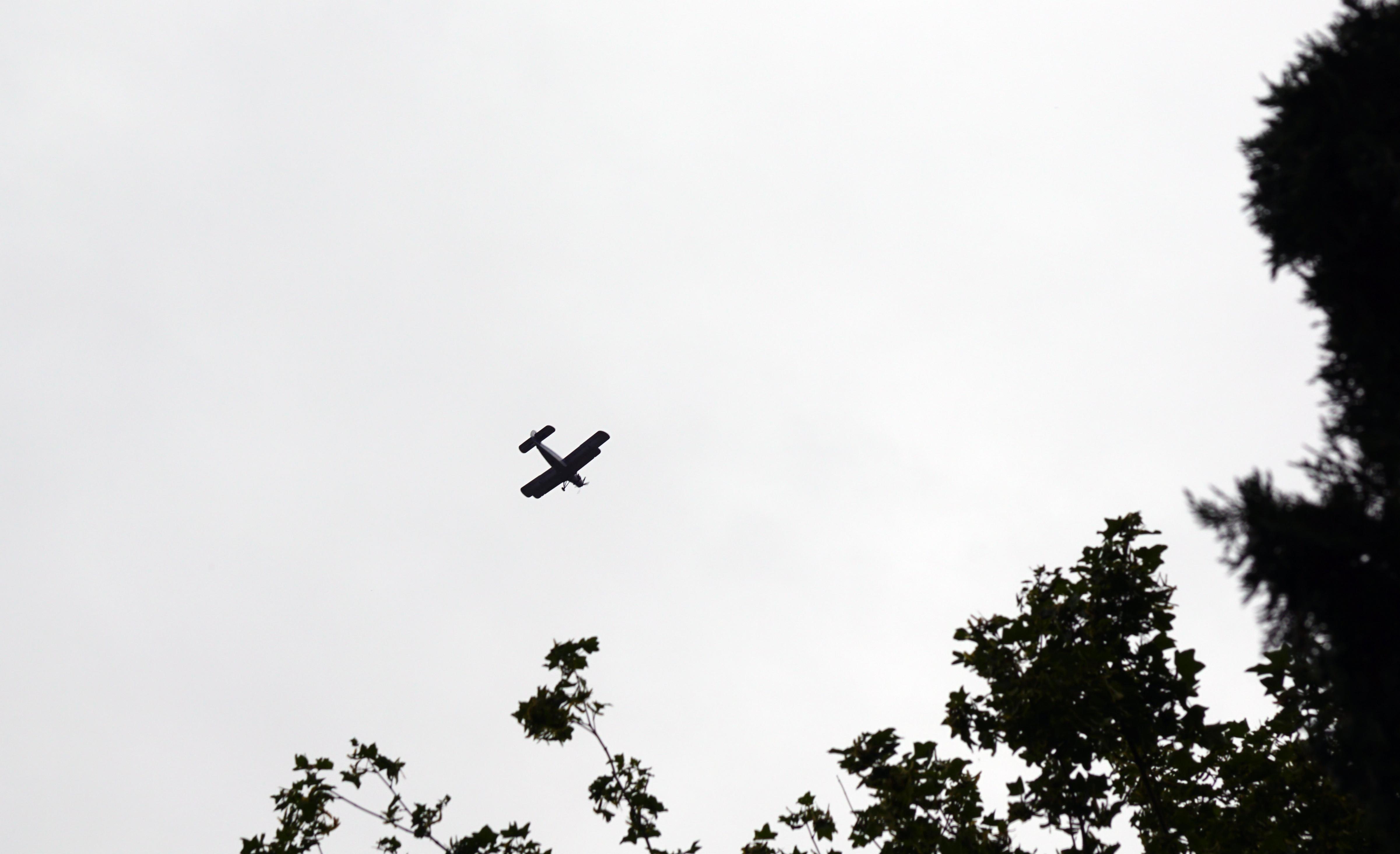 Naam: DSC00071.jpg
Bekeken: 2079
Grootte: 482,7 KB