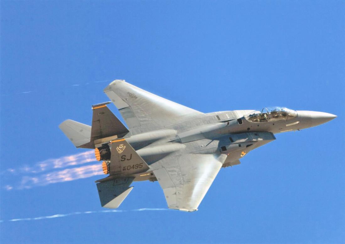 Naam: Foto 708. McDonnell Douglas F-15E-48-MC Strike Eagle. s:n 89-0495 (MSN 1142:E117). 1100 breed.jpg
Bekeken: 851
Grootte: 49,2 KB