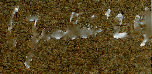 Naam: Foto 142. LVA. 2400dpi kopie, uitsnede, juli 1924?.jpg
Bekeken: 681
Grootte: 291,1 KB