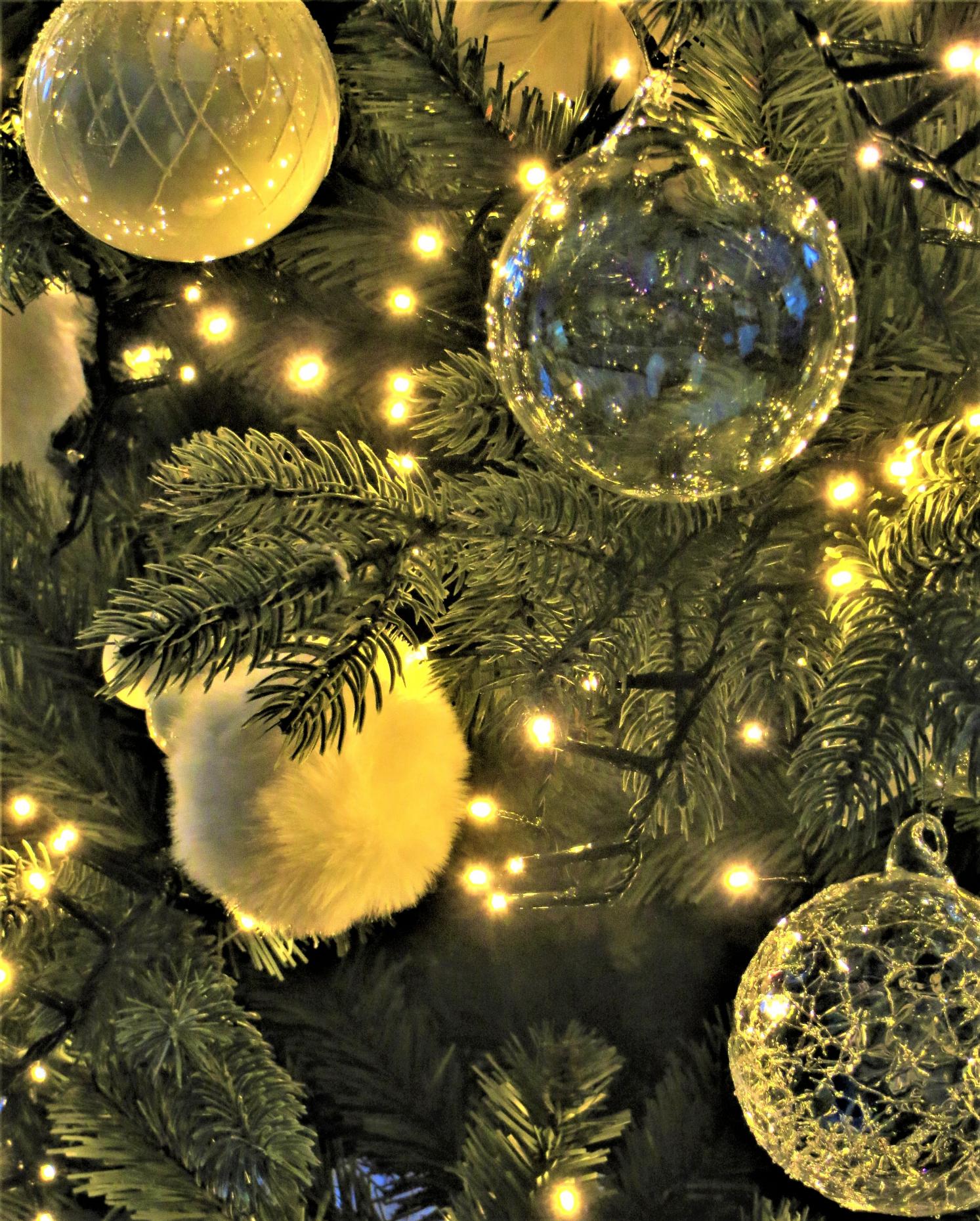 Naam: IMG_5692 (4).jpg
Bekeken: 998
Grootte: 513,6 KB