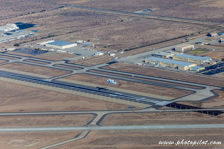 Naam: Palmdale-california-skunks.jpg
Bekeken: 64
Grootte: 201,2 KB