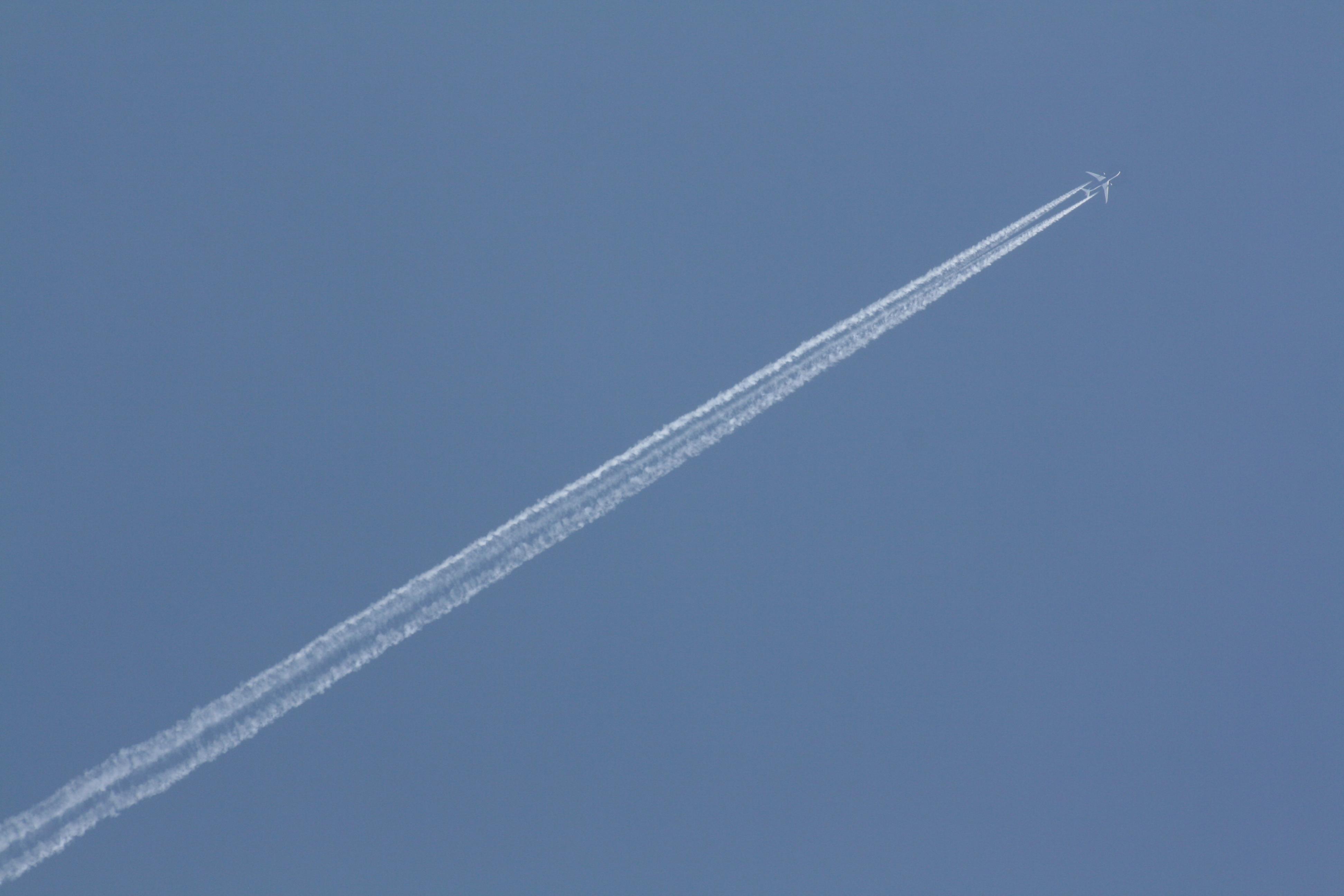 Naam: Boeing backgarden.jpg
Bekeken: 3072
Grootte: 391,7 KB