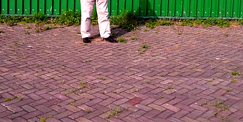 Naam: Sq 4. Zelfde plekje 2015 - kopie.jpg
Bekeken: 1104
Grootte: 141,9 KB